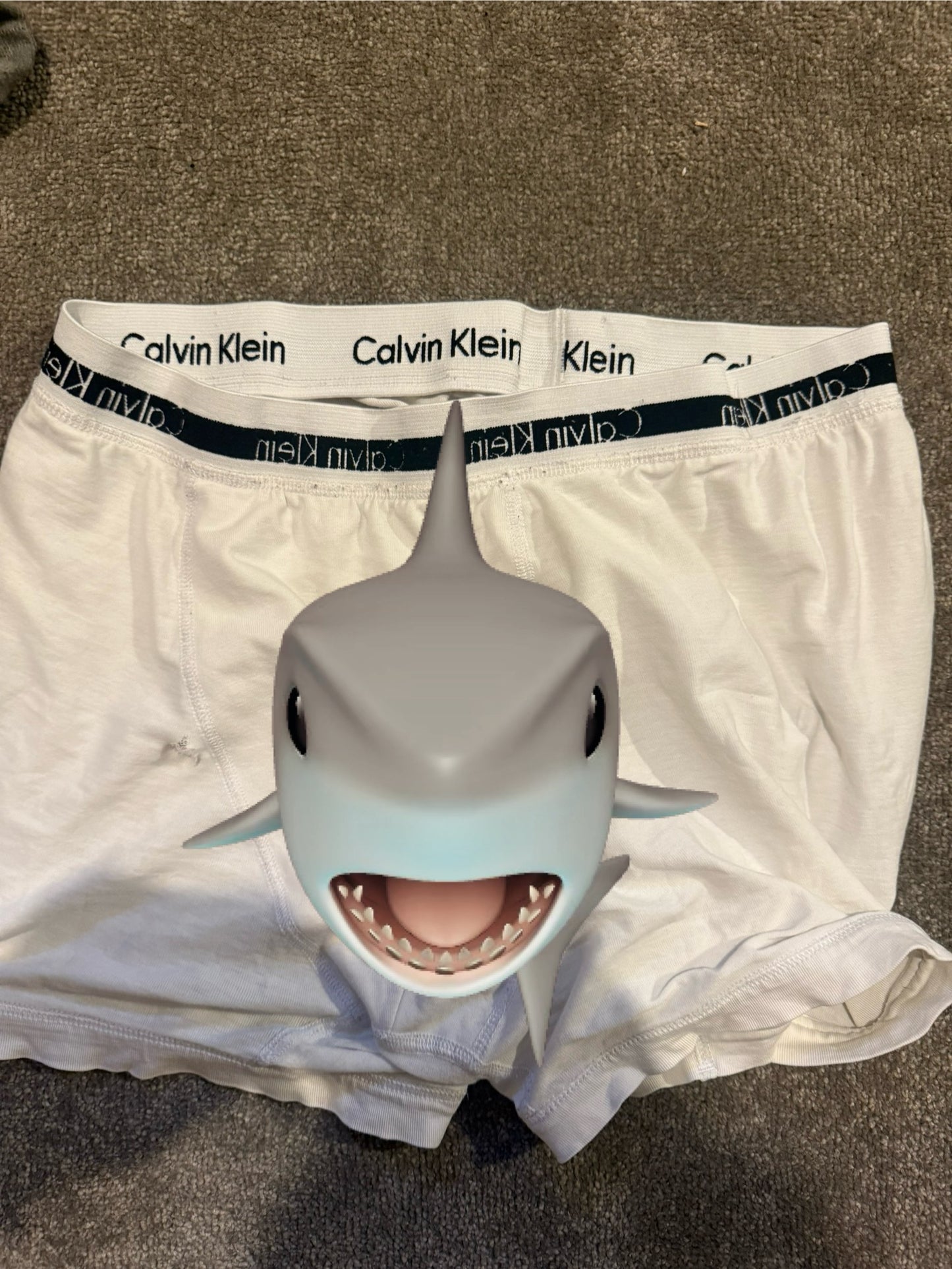 Cummy boxers